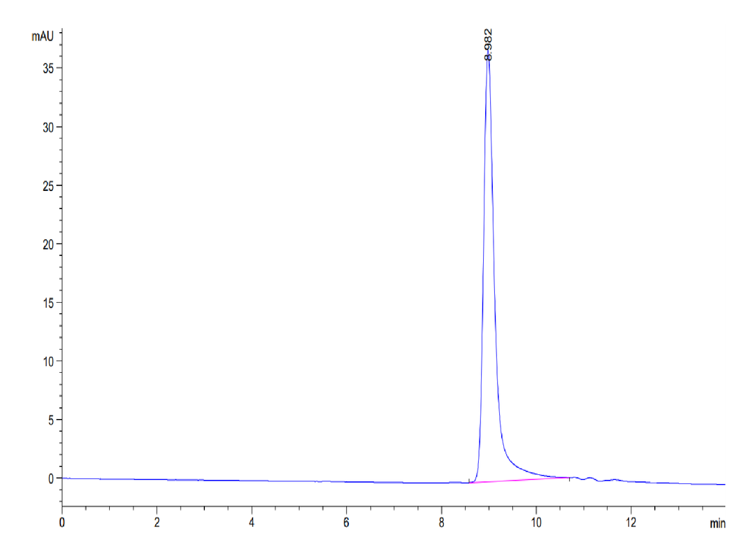SEC-HPLC chromatogram showing purity profile of recombinant protein with main peak eluting at approximately 8.98 minutes.