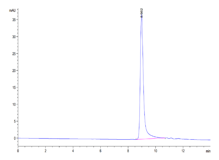 SEC-HPLC chromatogram showing purity profile of recombinant protein with main peak eluting at approximately 8.98 minutes.
