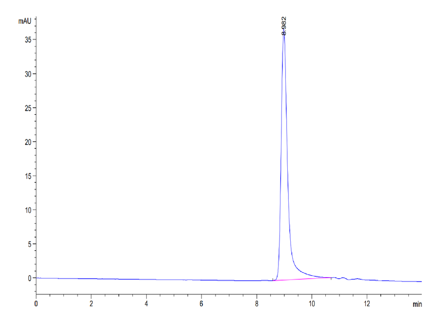 SEC-HPLC chromatogram showing purity profile of recombinant protein with main peak eluting at approximately 8.98 minutes.
