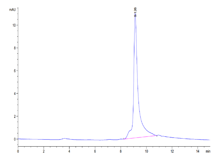 Human S100A9/MRP14 Protein (SA9-HE101)