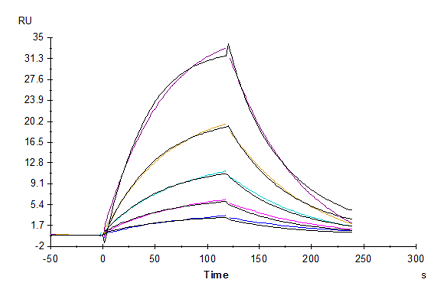 Human CD155/PVR Protein (CD1-HM255)