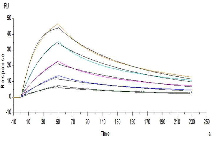 Non-biotinylated Human IL-5 R alpha/CD125 Protein (ILR-HM45R)