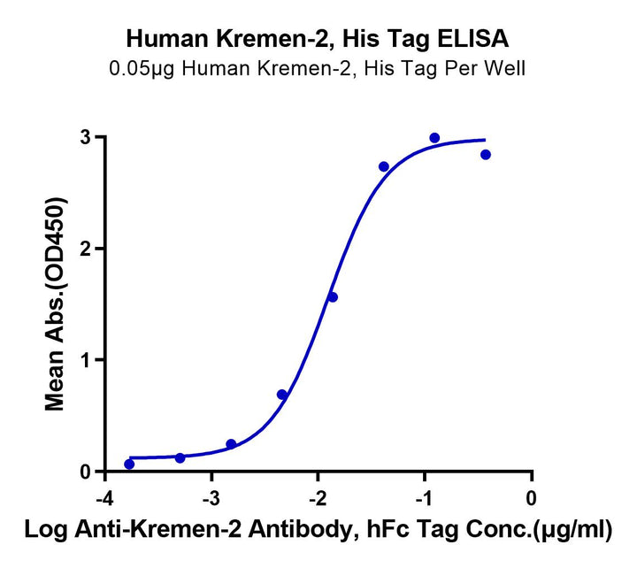 ELISA binding curve of human Kremen-2 His-tag protein showing OD450 absorbance in response to increasing concentrations of anti-Kremen-2 hFc-tagged antibody.