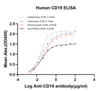 Human CD19 Protein (CD1-HM119)