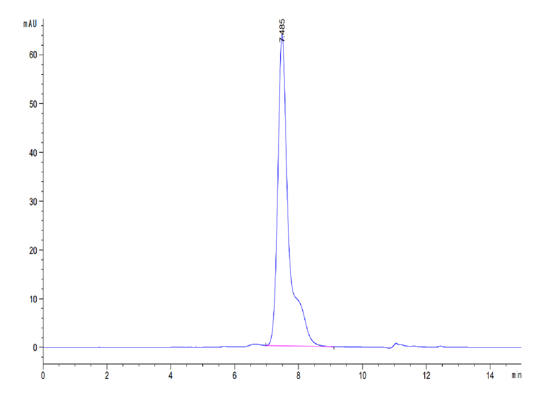 HPLC chromatogram with a prominent peak at 8.509 minutes, indicating high purity of the recombinant protein sample.