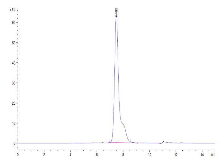 HPLC chromatogram with a prominent peak at 8.509 minutes, indicating high purity of the recombinant protein sample.