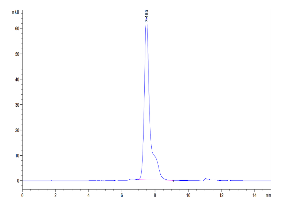 HPLC chromatogram with a prominent peak at 8.509 minutes, indicating high purity of the recombinant protein sample.