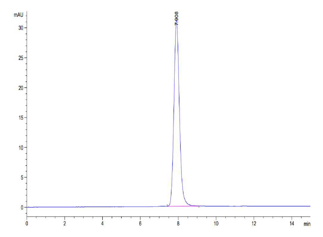 Human IL-19 Protein (IL9-HM219)