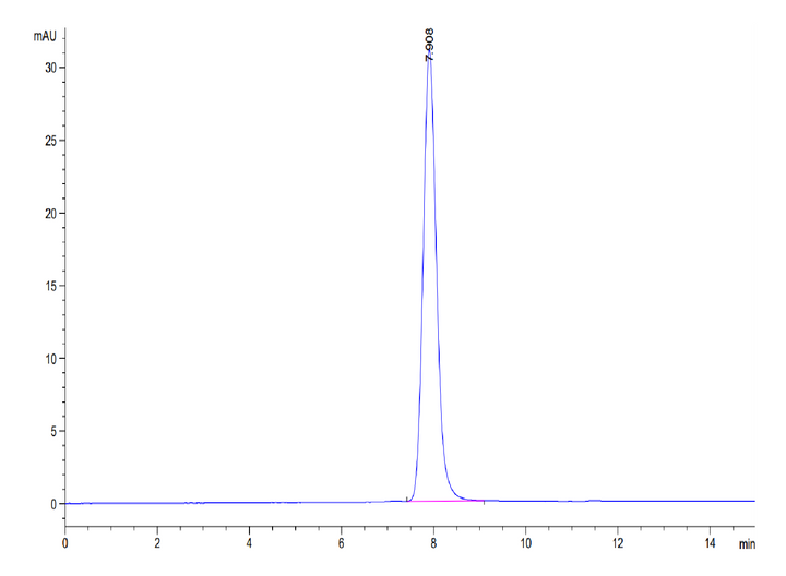 Human IL-19 Protein (IL9-HM219)