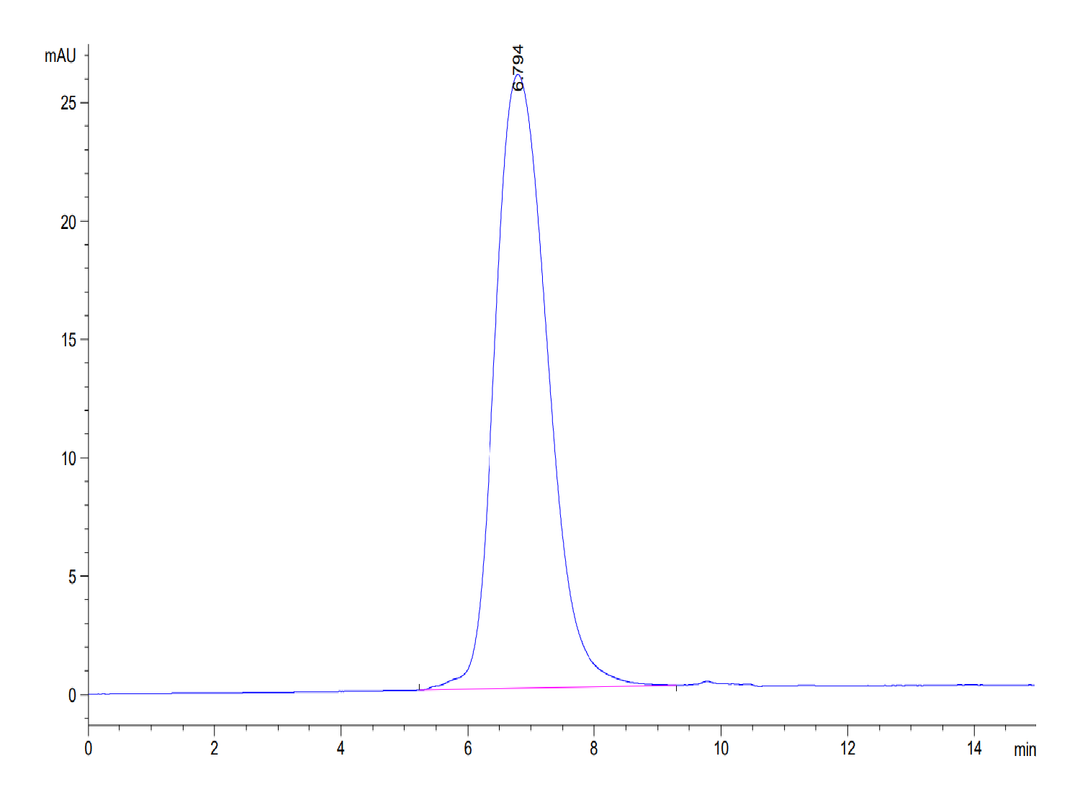 Mouse TIM-3/HAVCR2 Protein (TIM-MM131)