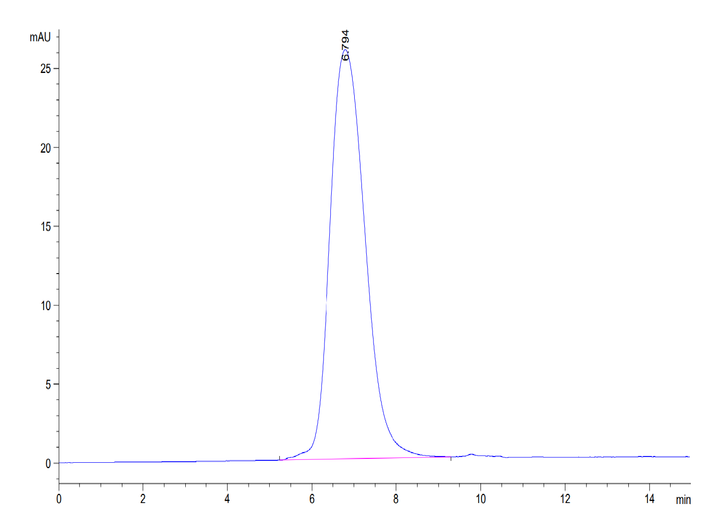 Mouse TIM-3/HAVCR2 Protein (TIM-MM131)