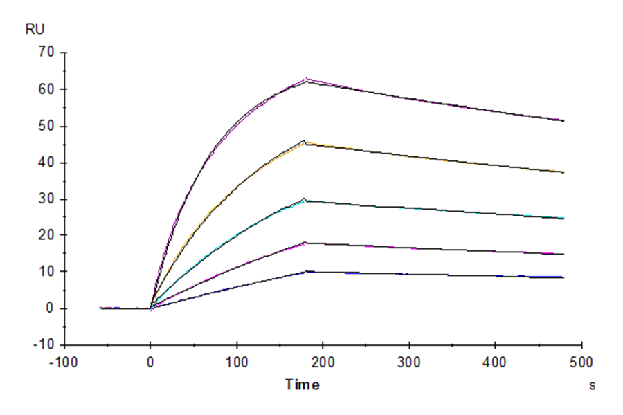Biotinylated Human Fc gamma RI/CD64 Protein (FRI-HM464B)