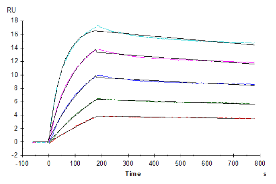 Human DcR1/TRAIL R3 Protein (TRA-HM103)