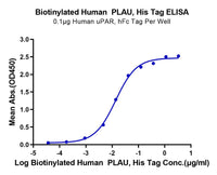 Biotinylated Human PLAU/uPA Protein (active form) (PLA-HM401B)