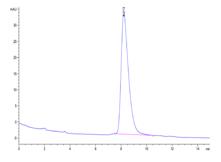 Human DDR2 Protein (DDR-HM1R2)