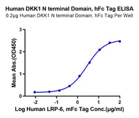 Non-biotinylated Human DKK1 N terminal Domain Protein (DKK-HM50N)