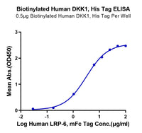 ELISA binding curve of biotinylated human DKK1 His-tag showing interaction with human LRP-6 mFc-tag protein.