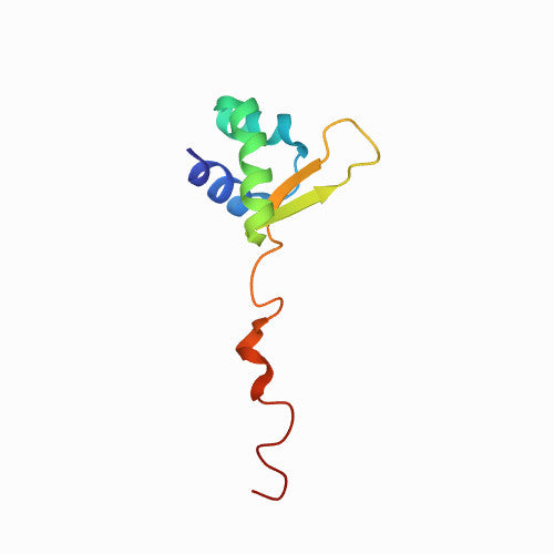 3D ribbon structure of recombinant human SLAMF6 protein showing alpha helices and beta sheets, visualized for structural biology and immunology research.