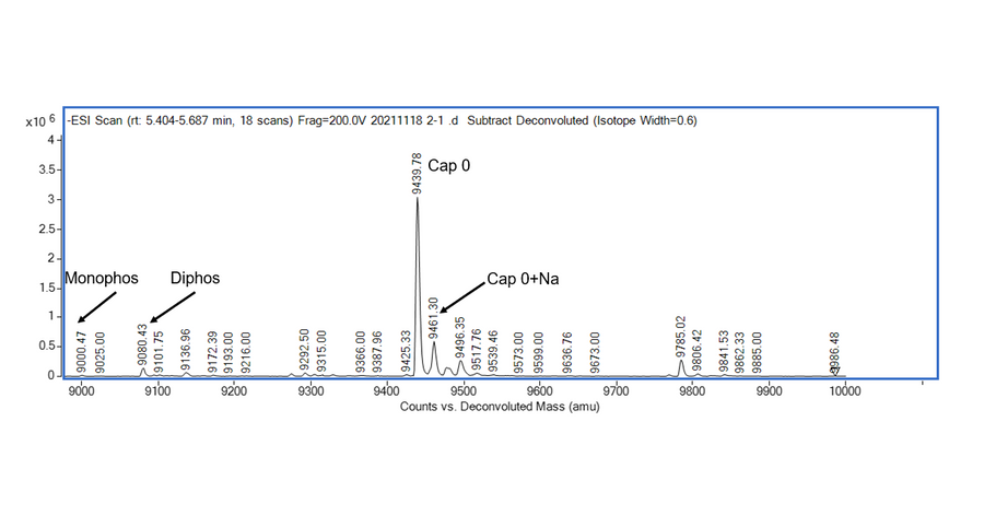 Deconvoluted ESI-MS spectrum showing Monophos, Diphos, Cap 0, and Cap 0+Na peaks from an mRNA sample analysis.