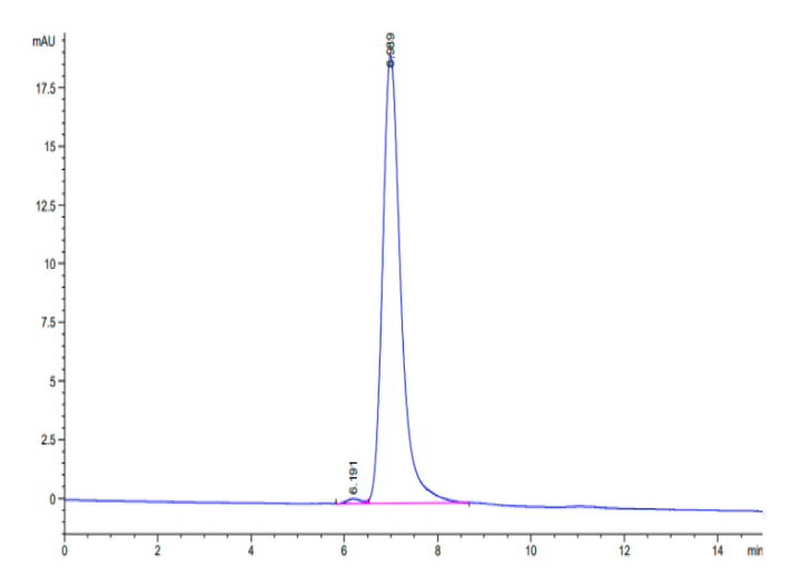 SEC-HPLC chromatogram of purified recombinant protein showing a single major peak at approximately 6.8 minutes retention time, indicating protein quality analysis.