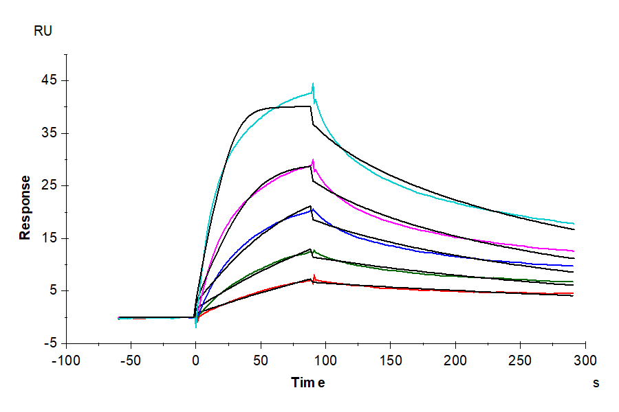 Non-biotinylated Human LDLR Protein (LDL-HM401)
