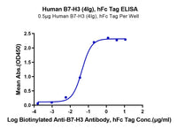 Human B7-H3 (4Ig) /B7-H3b Protein (BH7-HM23B)