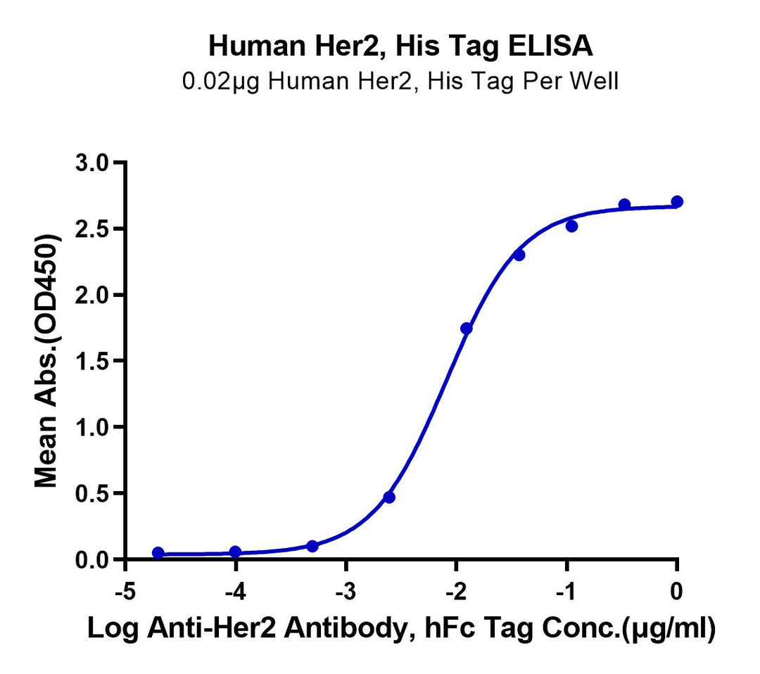 ELISA binding curve for recombinant human Her2 (ERBB2) protein with His tag, showing interaction with anti-Her2 antibody (hFc tag). Graph plots absorbance (OD450) vs. antibody concentration, demonstrating Her2 binding activity.