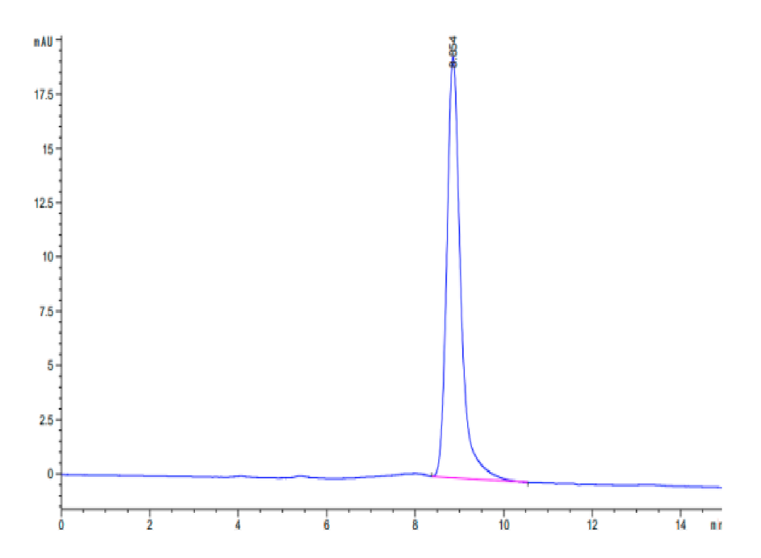 Mouse B7-H3 (2Ig) /CD276 Protein (BH7-MM173)
