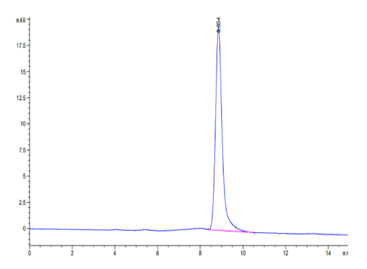 Mouse B7-H3 (2Ig) /CD276 Protein (BH7-MM173)