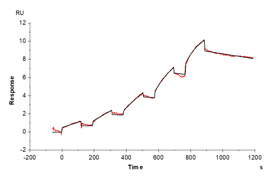 SPR binding kinetics sensorgram showing stepwise association of analyte with immobilized ligand over time, used to assess molecular interaction strength.