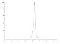 Cynomolgus/Rhesus macaque CD19 Protein (CD1-CM119)