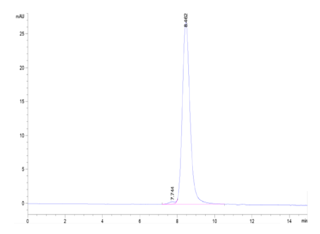 Biotinylated Mouse PSMA/FOLH1 Protein (Primary Amine Labeling)  (PSM-MM110B)