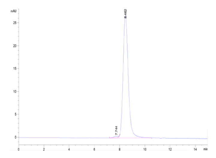 Biotinylated Mouse PSMA/FOLH1 Protein (Primary Amine Labeling)  (PSM-MM110B)