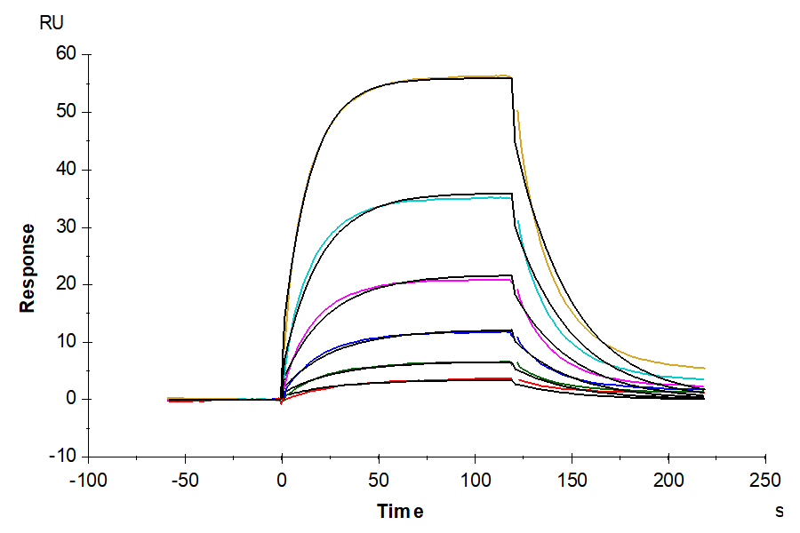Human PD-1/PDCD1 Protein (PD1-HM101)