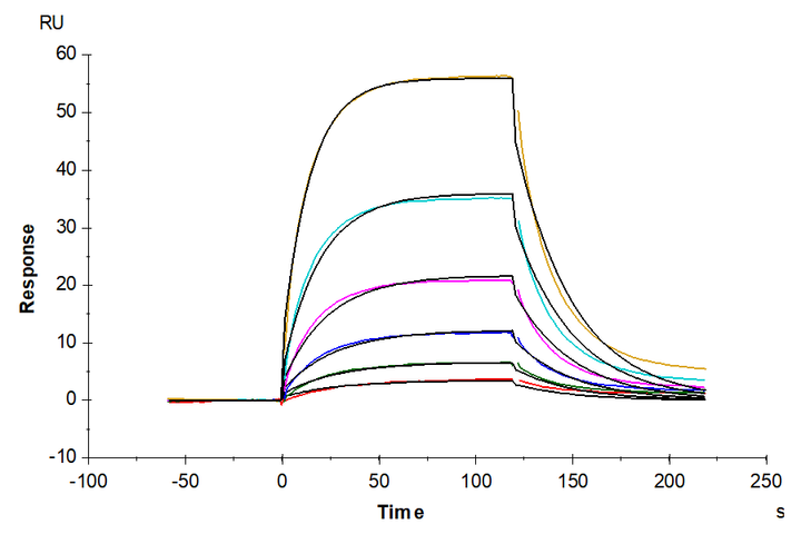 Human PD-1/PDCD1 Protein (PD1-HM101)