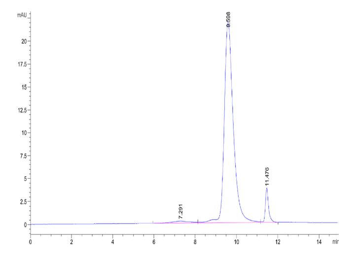 Biotinylated Mouse MSLN/Mesothelin Protein (Primary Amine Labeling) (MSL-MM180B)