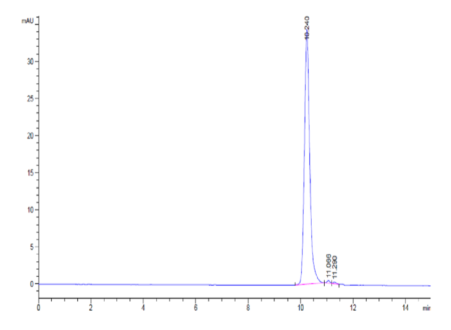 HPLC chromatogram showing a sharp, predominant peak at approximately 10.24 minutes retention time, indicating over 95% purity of the recombinant Mouse GM-CSF protein expressed in E.coli without a tag.