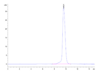 Human/Cynomolgus Activin RIIA/ACVR2A-Protein (ARA-HM12A)
