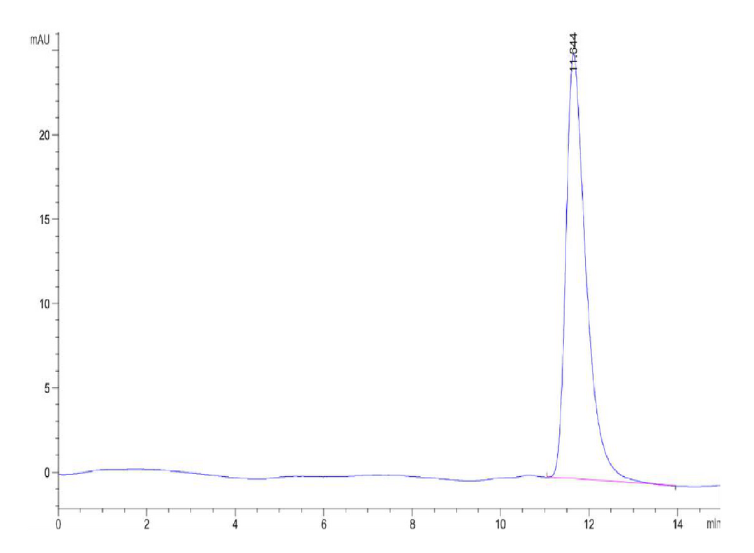 Human Betacellulin-Protein (BTC-HM201)