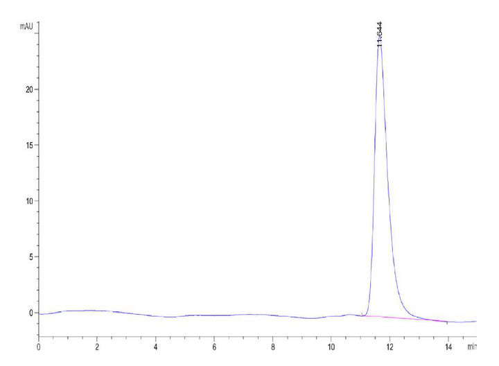 Human Betacellulin-Protein (BTC-HM201)