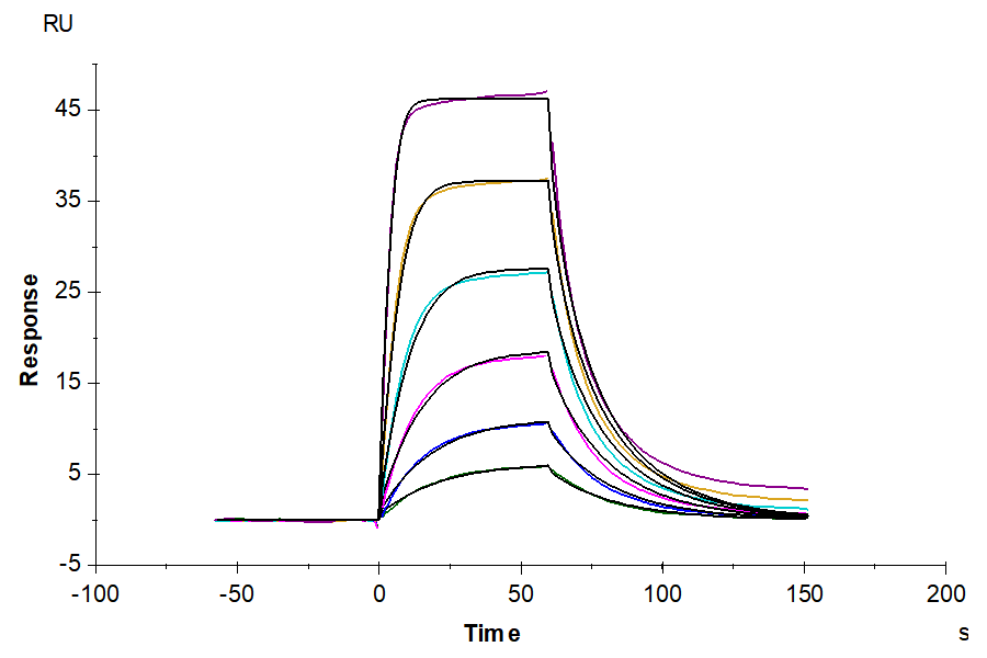 Biotinylated Mouse uPAR/PLAUR Protein (PAR-MM401B)