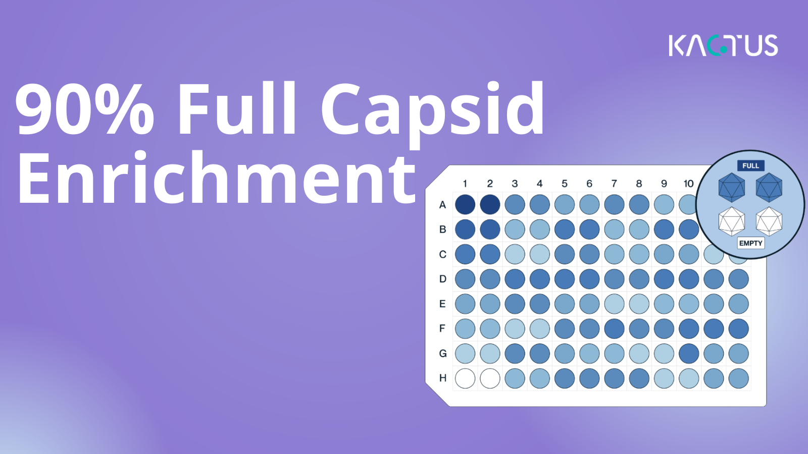 New AAV Purification Strategy, Kactus AAV ELISA Kits Offer Reliable Support