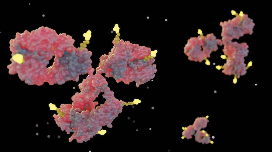 Butyrophilin (BTN) family: γδ T Cell Receptor Ligands, Immunomodulators and More