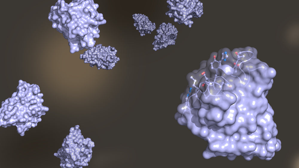 Case Review: Exploring domain proteins in antibody development