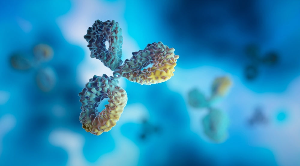 MASP2 Antibody Successful in Phase III Clinical Trial