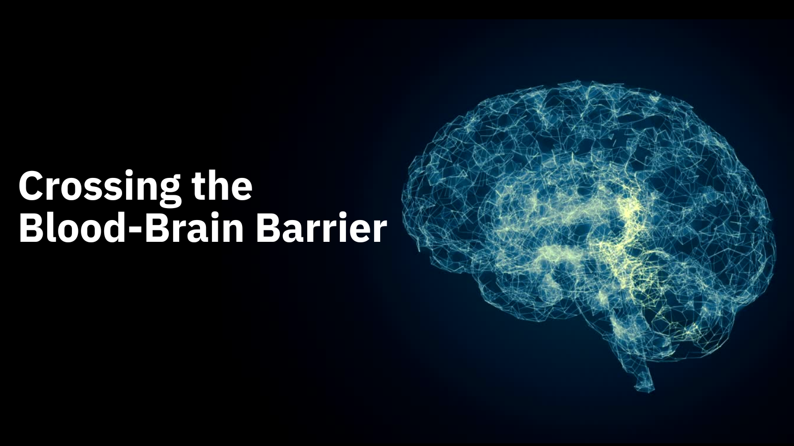 Crossing the Blood-Brain Barrier: RMT Technology Breaks Through the Bottleneck of CNS Disease Treatment