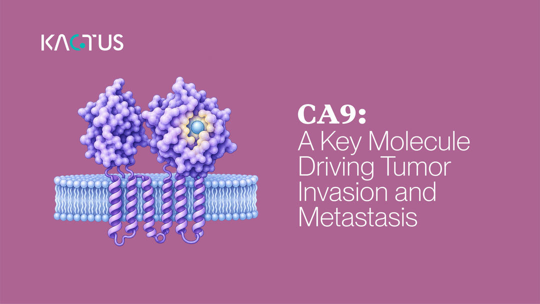 CA9: A Key Molecule Driving Tumor Invasion and Metastasis