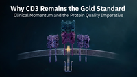 Why CD3 Remains the Gold Standard: Clinical Momentum and the Protein Quality Imperative