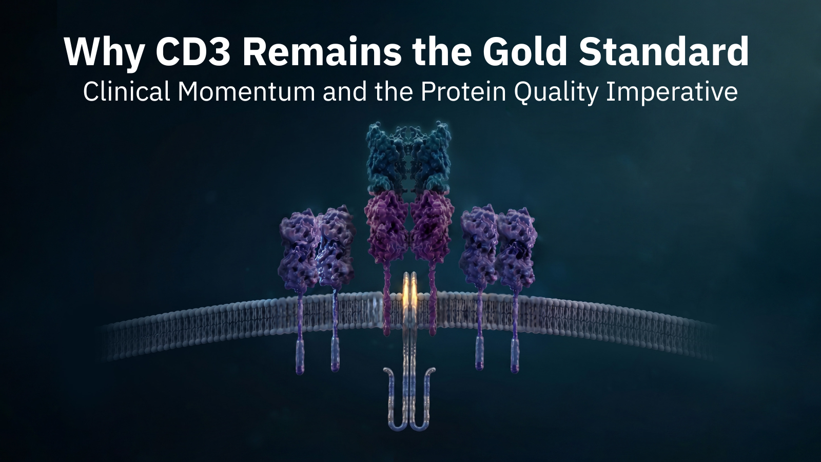 Why CD3 Remains the Gold Standard: Clinical Momentum and the Protein Quality Imperative
