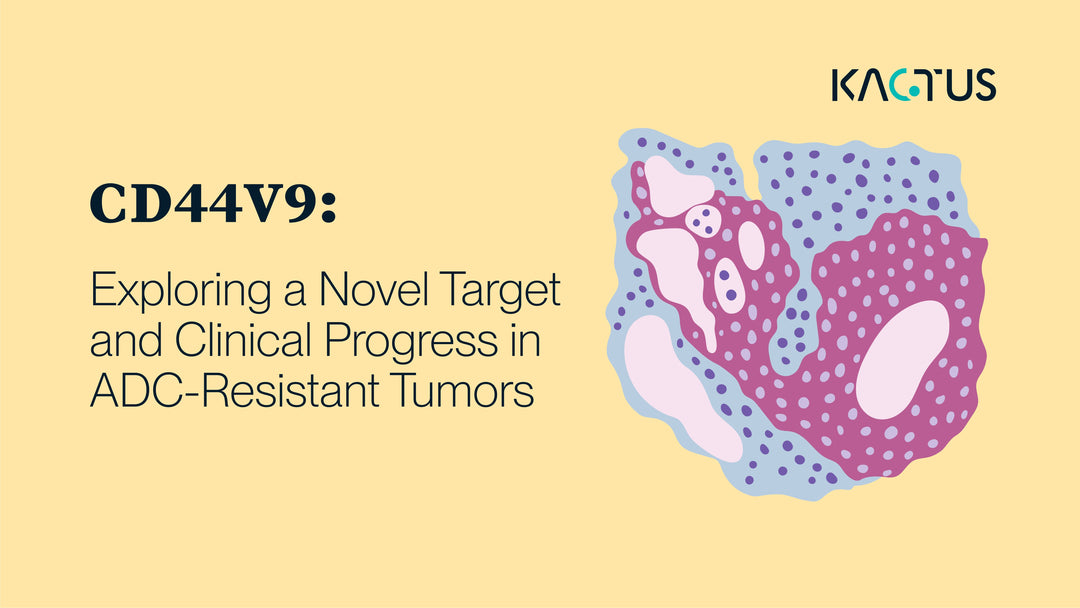 CD44v9: Exploring a Novel Target and Clinical Progress in ADC-Resistant Tumors